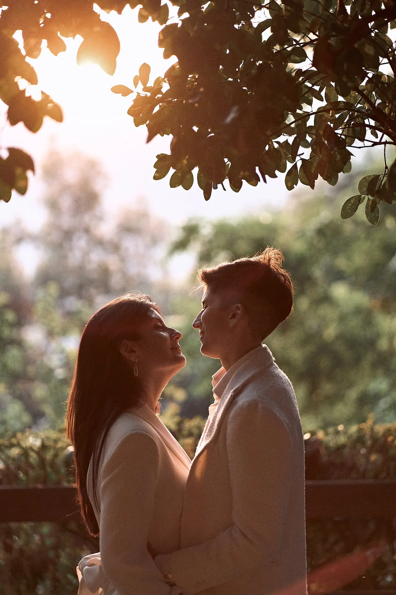 Silhouetted couple in suits gaze at each other under sunlit tree branches.