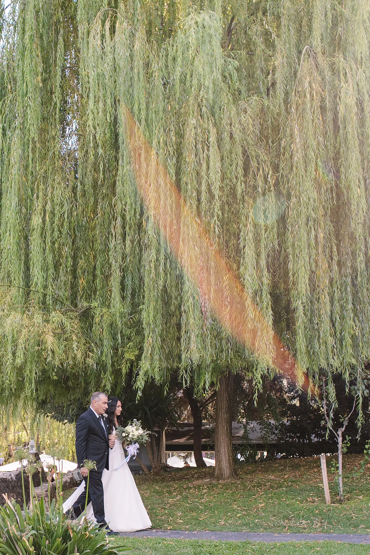 A bride and her father walk together under a large, sunlit weeping willow tree.