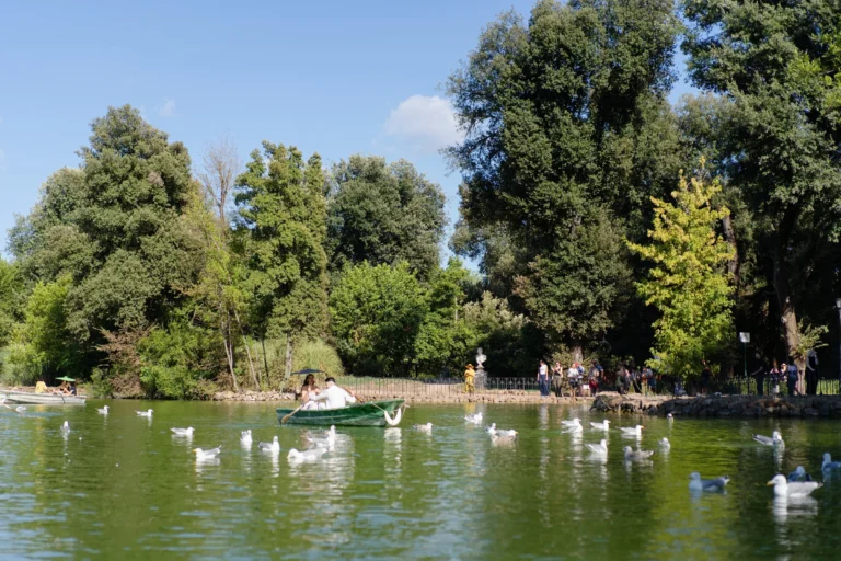 A couple in a small green rowboat floats on a lake. Many white seagulls swim in the green water nearby.